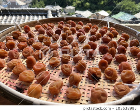 Umishi生魚片乾燥器 105638993