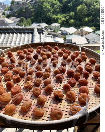 Umishi生魚片乾燥器 105638994