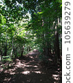綠樹環繞的山路 105639279