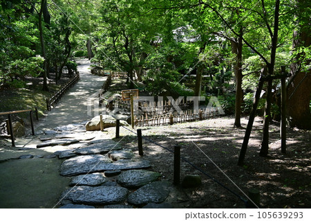 慶澤園步行道(大阪市天王寺區) 慶澤園步行道(大阪市天王寺區) 105639293