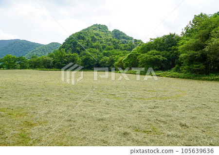 日高町腹地的牧場曬乾 105639636