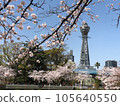Cherry blossom view of Osaka Shinsekai Tsutenkaku in spring 105640550