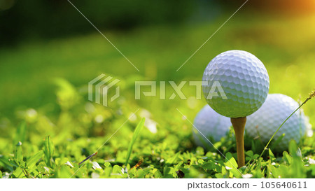 Golf ball on green grass in the evening golf course with sunshine background. 105640611