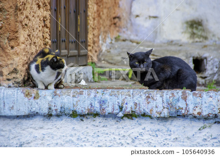 摩洛哥舍夫沙萬藍色城市城市景觀 105640936