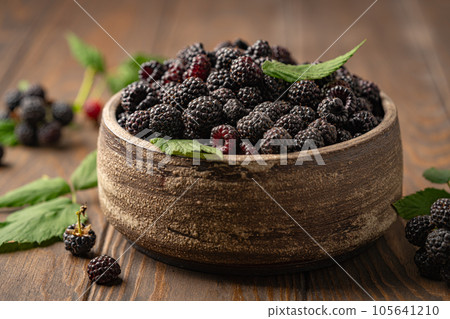 fresh black raspberry 105641210