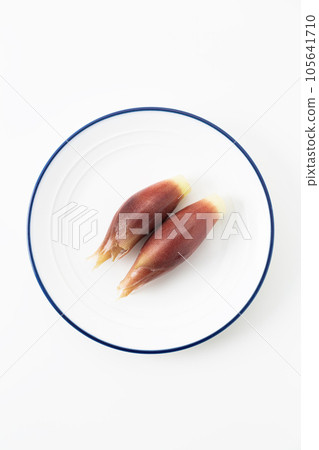 Myoga white background Myoga white background 105641710