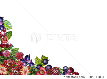 Berries. Banner frame with strawberries, raspberries, cherries and currants. Watercolor. For packaging, labels. Berries. Banner frame with strawberries, raspberries, cherries and currants. Watercolor. For packaging, labels. 105641831