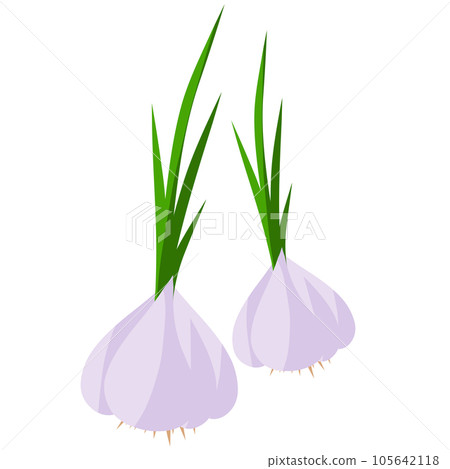 healthy healthy 105642118