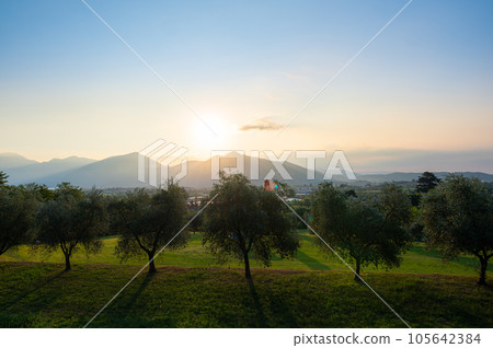 A landscape of the countryside near Iseo Lake at sunrise, Italy A landscape of the countryside near Iseo Lake at sunrise, Italy 105642384