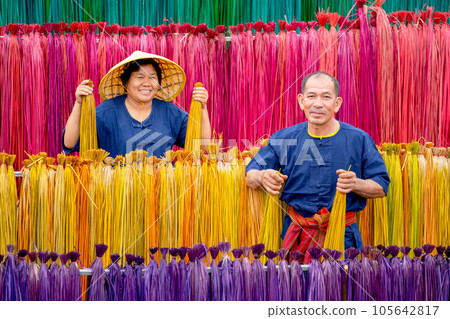 Portrait of Asian senior man and woman hold yellow color dry weed that use for making mat or wicker 105642817