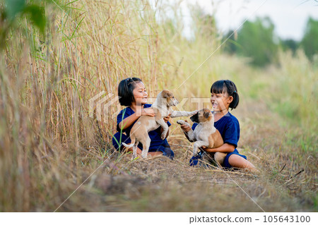 Two little Asian girls enjoy and fun to play with baby dogs and they sit near rice field with soft light of evening. Two little Asian girls enjoy and fun to play with baby dogs and they sit near rice field with soft light of evening. 105643100