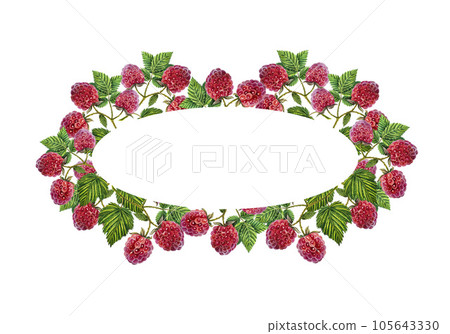 Oval frame with raspberries. Watercolor illustration. For inscriptions, postcards and invitations. For menus,labels. 105643330