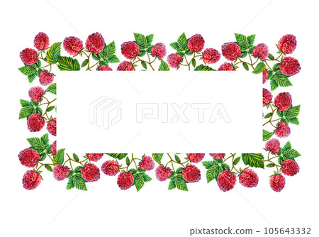 Raspberry. Rectangular frame with raspberry branches with berries and leaves. watercolor illustration. 105643332