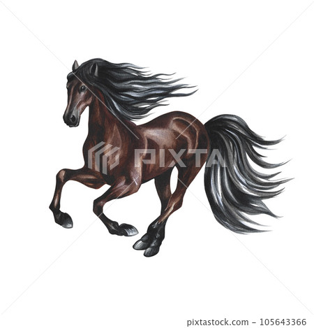 Running horse. Hand watercolor. Brown horse isolate. For printing, stickers and labels. For postcards, business cards Running horse. Hand watercolor. Brown horse isolate. For printing, stickers and labels. For postcards, business cards 105643366