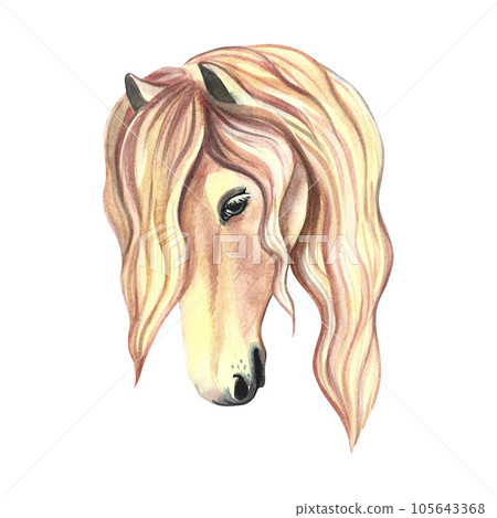 Horse portrait. Beautiful mare. Watercolor illustration. For printing, stickers and labels. 105643368