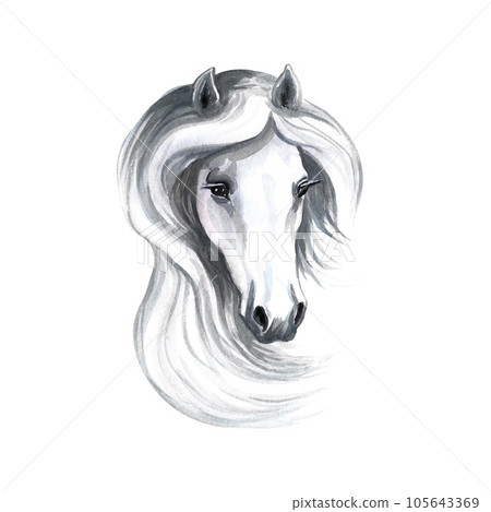 Portrait of a white horse. Watercolor illustration. For prints, stickers and labels. For postcards, business cards Portrait of a white horse. Watercolor illustration. For prints, stickers and labels. For postcards, business cards 105643369