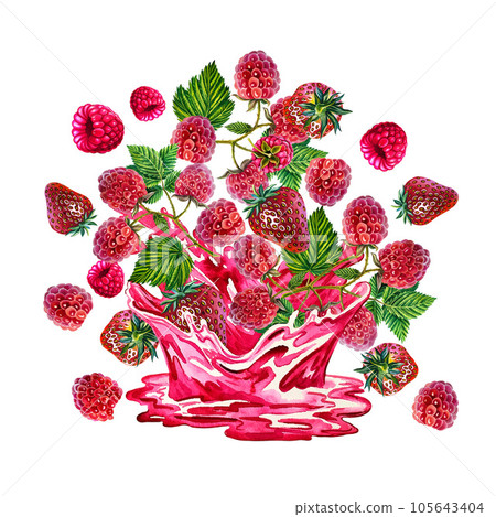 Berries falling into juice. Composition with strawberries and raspberries. Watercolor. For packaging, labels, textiles Berries falling into juice. Composition with strawberries and raspberries. Watercolor. For packaging, labels, textiles 105643404