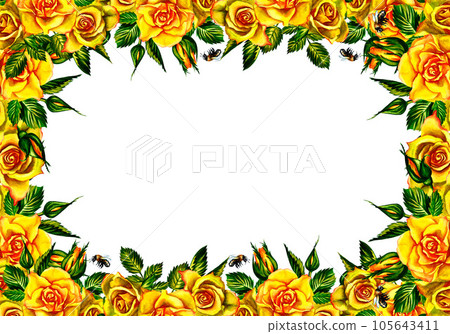 Roses are yellow. Floral frame. Watercolor illustration. For wedding, greeting and invitation cards watercolor design. 105643411