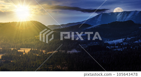fir trees in the valley of apuseni mountain range with sun and moon at twilight. day and night time change concept. mysterious nature scenery in morning light fir trees in the valley of apuseni mountain range with sun and moon at twilight. day and night time change concept. mysterious nature scenery in morning light 105643478