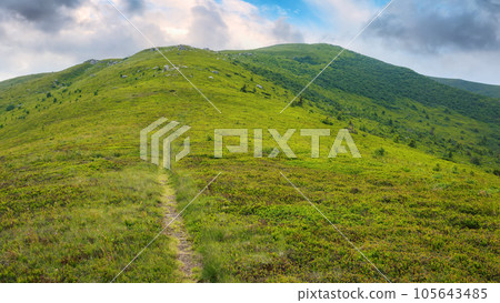 steep path up the hill. carpathian mountain landscape in summer. hard way to success concept steep path up the hill. carpathian mountain landscape in summer. hard way to success concept 105643485