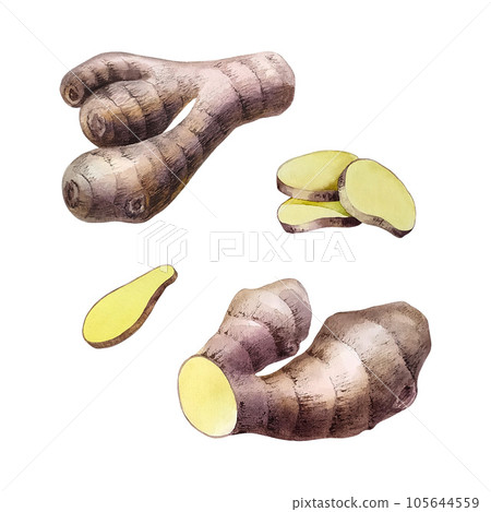 Honey and chamomile. Watercolor illustration. For design solutions, cosmetology, pharmaceuticals and food industry. 105644559