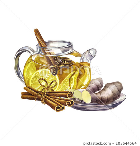 Fragrant antiviral tea with lemon, cinnamon and ginger. Watercolor illustration. Glass teapot with vitamin tea 105644564