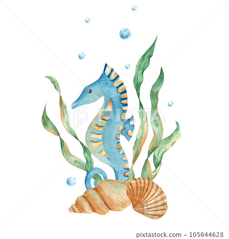 Marine composition of cute seahorse, seaweeds, seashells, water bubbles. Watercolor hand drawn illustration for children isolated on white background. For cards, posters, marine design. 105644628