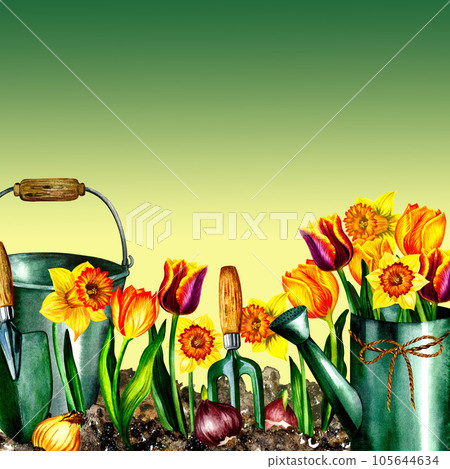 Gardening. Banner with garden tools and spring flowers. Watercolor. for design solutions. Design for banners, postcards 105644634