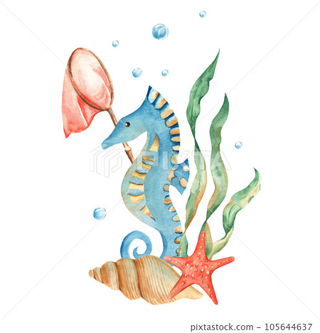 Marine composition of cute seahorse, seaweeds, red starfish, seashells, orange net and water bubbles. Watercolor hand drawn illustration for children isolated on white background. For cards, posters Marine composition of cute seahorse, seaweeds, red starfish, seashells, orange net and water bubbles. Watercolor hand drawn illustration for children isolated on white background. For cards, posters 105644637