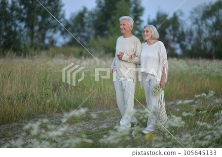 Happy elderly seniors couple in park 105645133