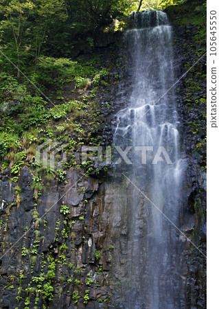 Yamagata Prefecture / A famous waterfall representing Yamagata Prefecture "Tamadare no Taki" in summer Yamagata Prefecture / A famous waterfall representing Yamagata Prefecture "Tamadare no Taki" in summer 105645550
