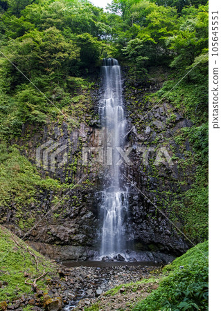 Yamagata Prefecture / A famous waterfall representing Yamagata Prefecture "Tamadare no Taki" in summer Yamagata Prefecture / A famous waterfall representing Yamagata Prefecture "Tamadare no Taki" in summer 105645551