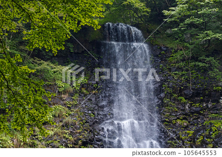 Yamagata Prefecture / A famous waterfall representing Yamagata Prefecture "Tamadare no Taki" in summer Yamagata Prefecture / A famous waterfall representing Yamagata Prefecture "Tamadare no Taki" in summer 105645553