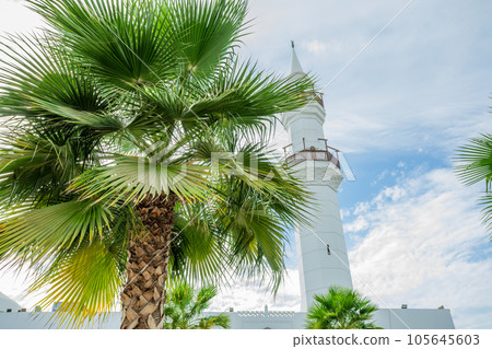 White Jaffali mosque minaret  with palms in foreground, Jeddah, Saudi Arabia 105645603