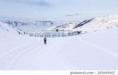 Greenlandic winter sea fjord panorama with lonely skier, Nuuk, Greenland 105645607
