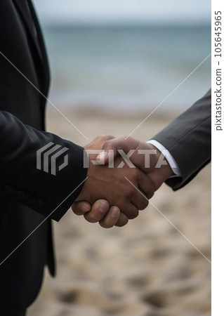 Businessmen shaking hands 105645965