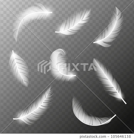 Realistic feathers. White bird falling feather - Stock