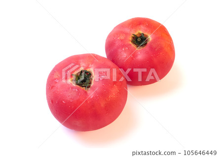 Fresh tomatoes on white background Fresh tomatoes on white background 105646449