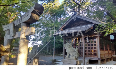 Sasaguri Goryo Shrine 2 Sasaguri Goryo Shrine 2 105646450