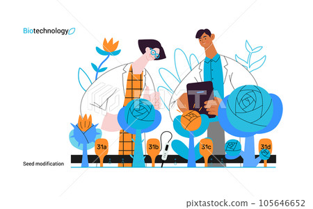 Bio Technology, Seed Modification -modern flat vector concept illustration of scientists analysing genetic modificated variants of a plant. Metaphor of direct impact of GMO on vegetation 105646652