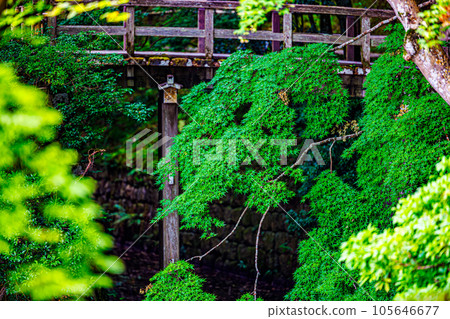 Kaede Bridge at Shugakuin Imperial Villa, Kyoto 105646677