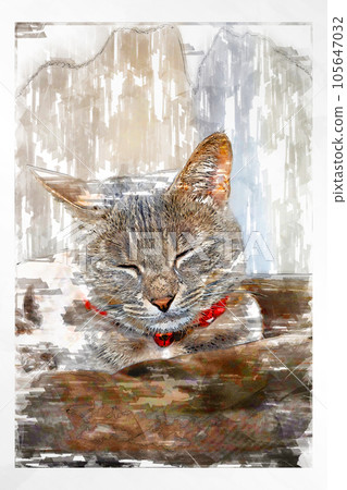 sketch style cat cat cat kijitora gray female female female cat female cat healthy pretty healing sketch style cat cat cat kijitora gray female female female cat female cat healthy pretty healing 105647032