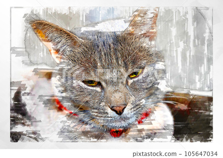 sketch style cat cat cat kijitora gray female female female cat female cat healthy pretty healing sketch style cat cat cat kijitora gray female female female cat female cat healthy pretty healing 105647034