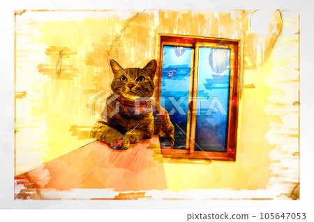 sketch style cat cat cat kijitora gray female female female cat female cat healthy pretty healing sketch style cat cat cat kijitora gray female female female cat female cat healthy pretty healing 105647053