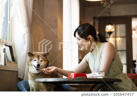 Young woman feeding her dog at a dock cafe Young woman feeding her dog at a dock cafe 105647457