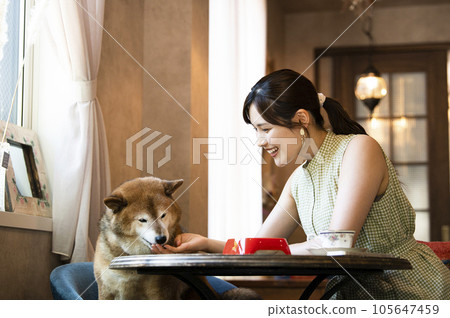 Young woman feeding her dog at a dock cafe Young woman feeding her dog at a dock cafe 105647459