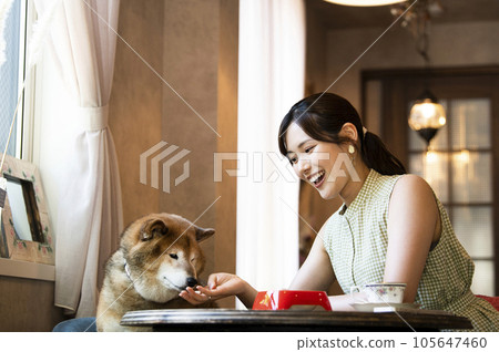 年輕女子在碼頭咖啡館餵狗 105647460