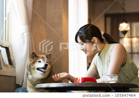 Young woman feeding her dog at a dock cafe 105647464