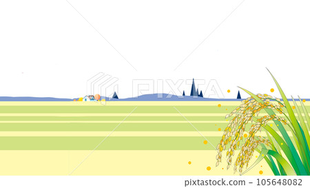 Scenery of ears of rice in autumn harvest 105648082