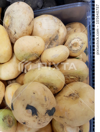 Close-up of white organic turnips on the counter in the vegetable market, sale of organic farm vegetables, vertical photo 105648787